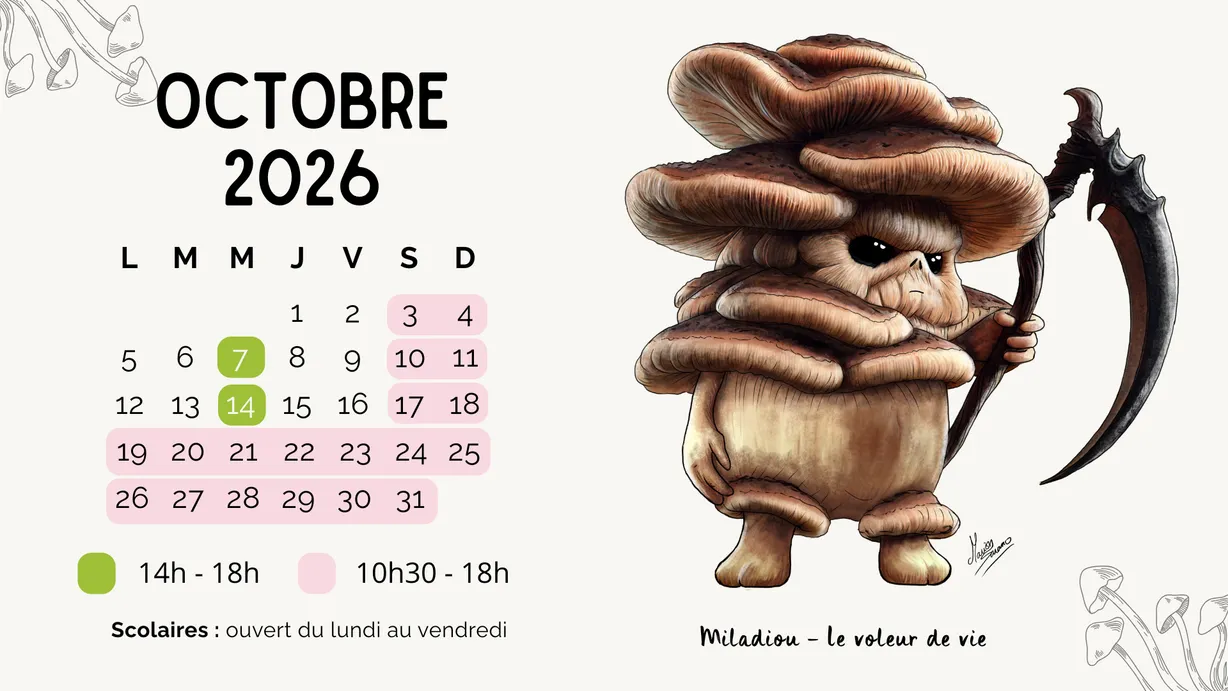 Calendrier d'ouverture octobre 2026
