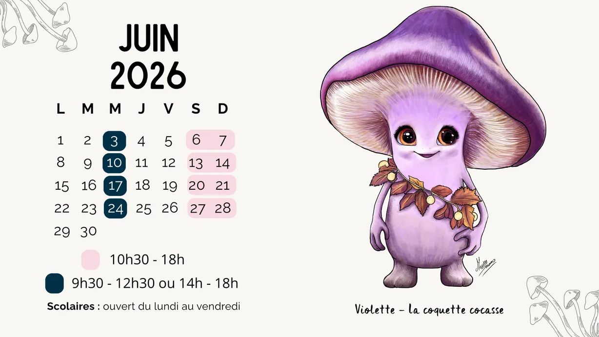 Calendrier d'ouverture juin 2026
