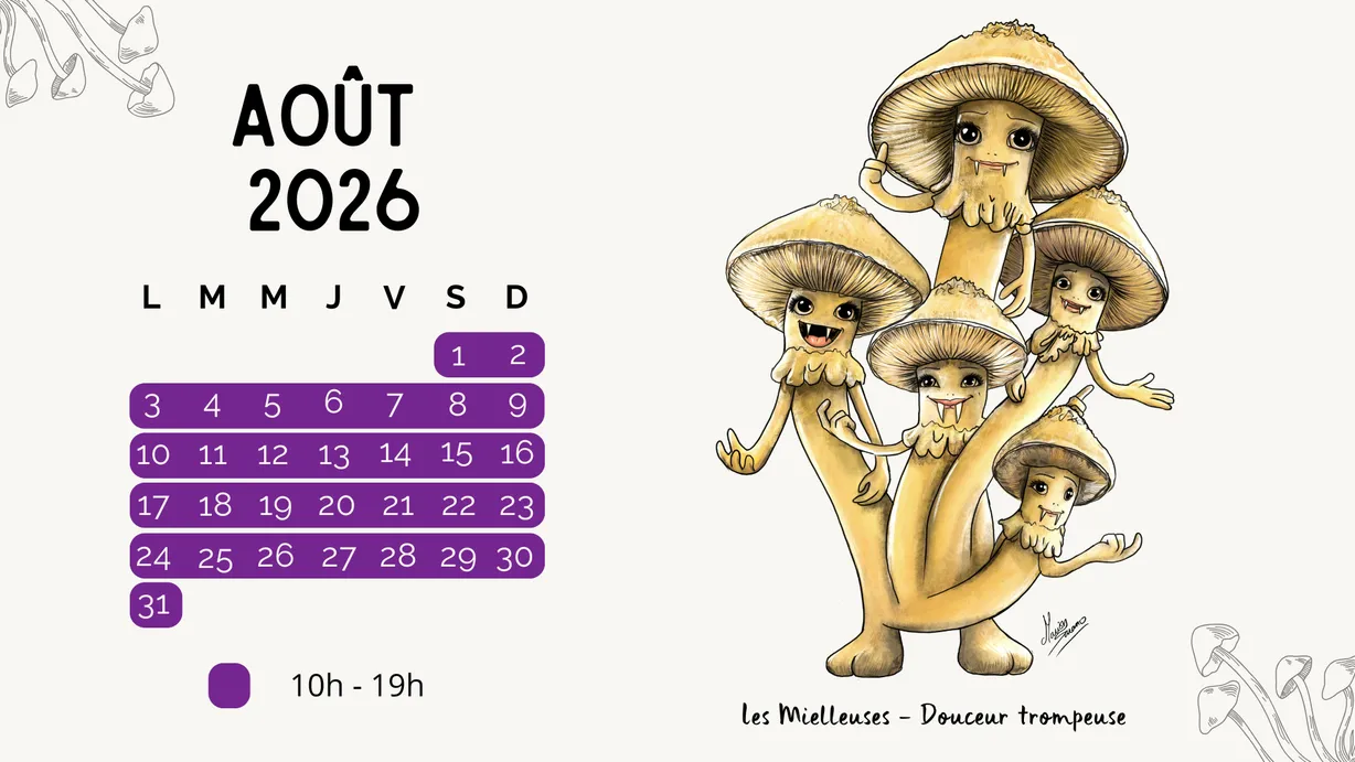 Calendrier d'ouverture aout 2026