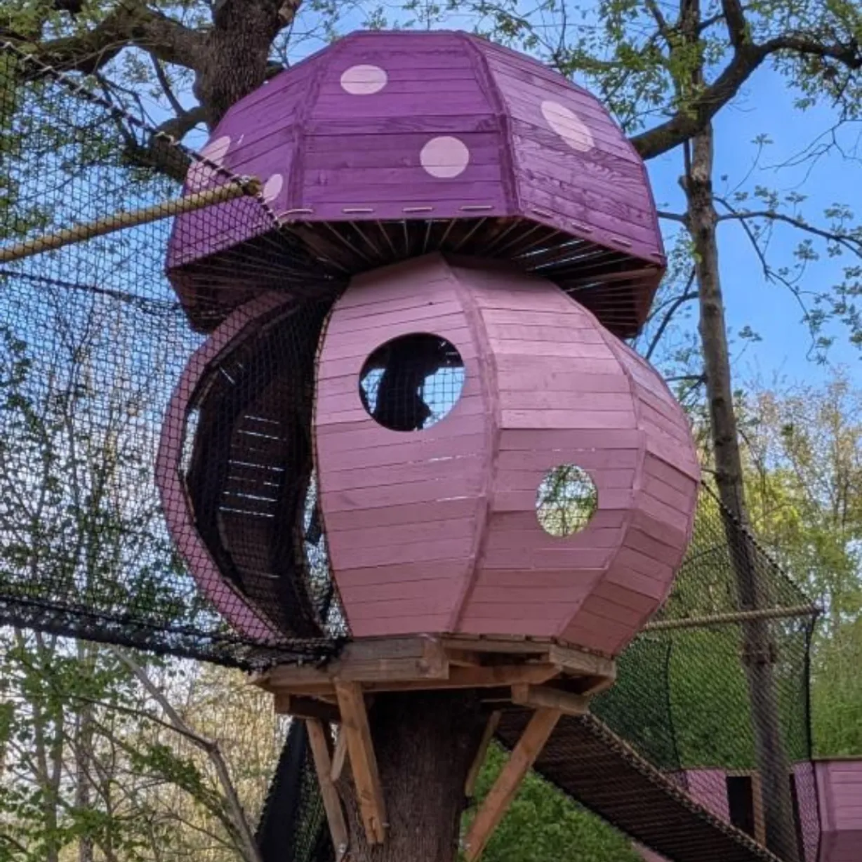 Cabane champignon - La Forêt des Champos