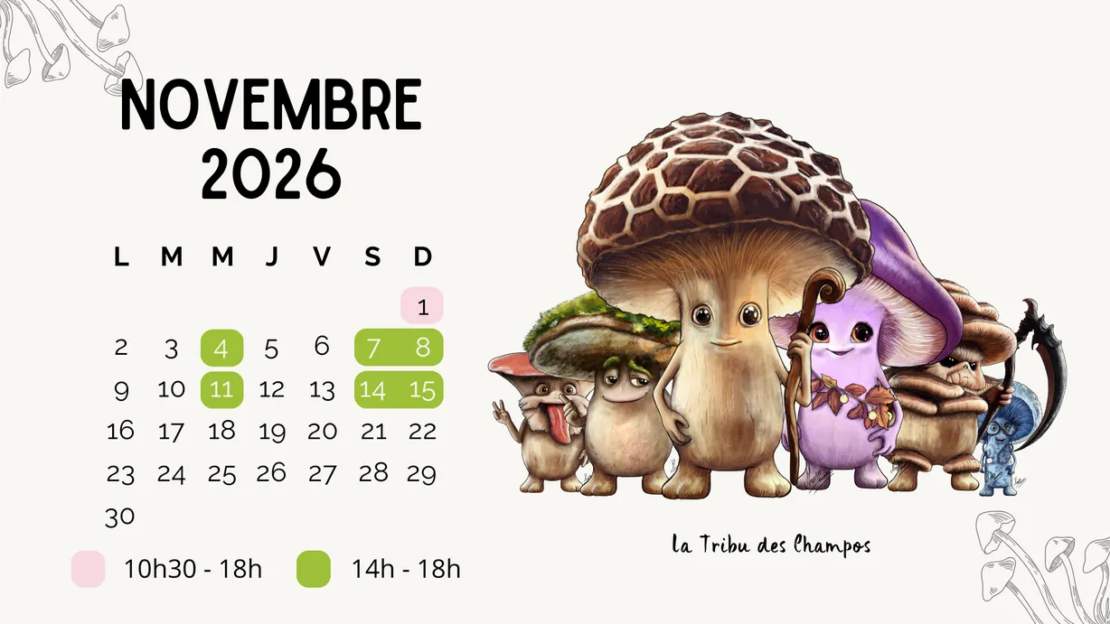 Calendrier d'ouverture novembre 2026