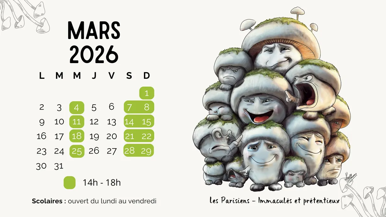 Calendrier d'ouverture mars 2026