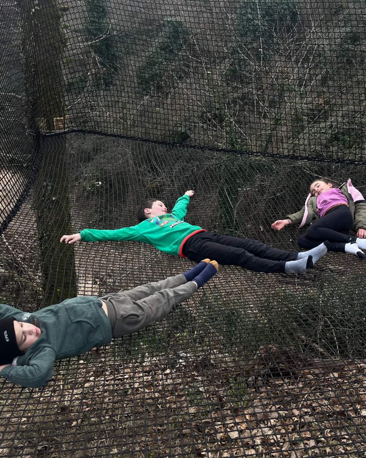 Photo activite Les Hamacs Champos'zen